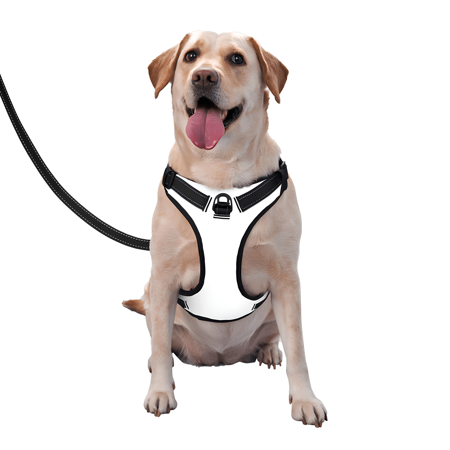 Custom Pet Dog Harness With Leash | HugePOD - Wholesale-1