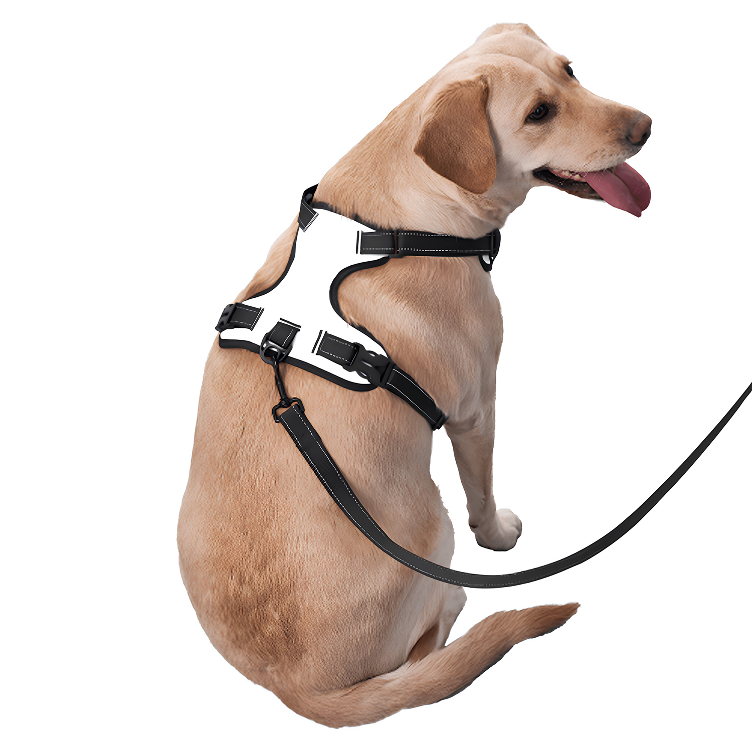 Custom Pet Dog Harness With Leash | HugePOD - Wholesale-4