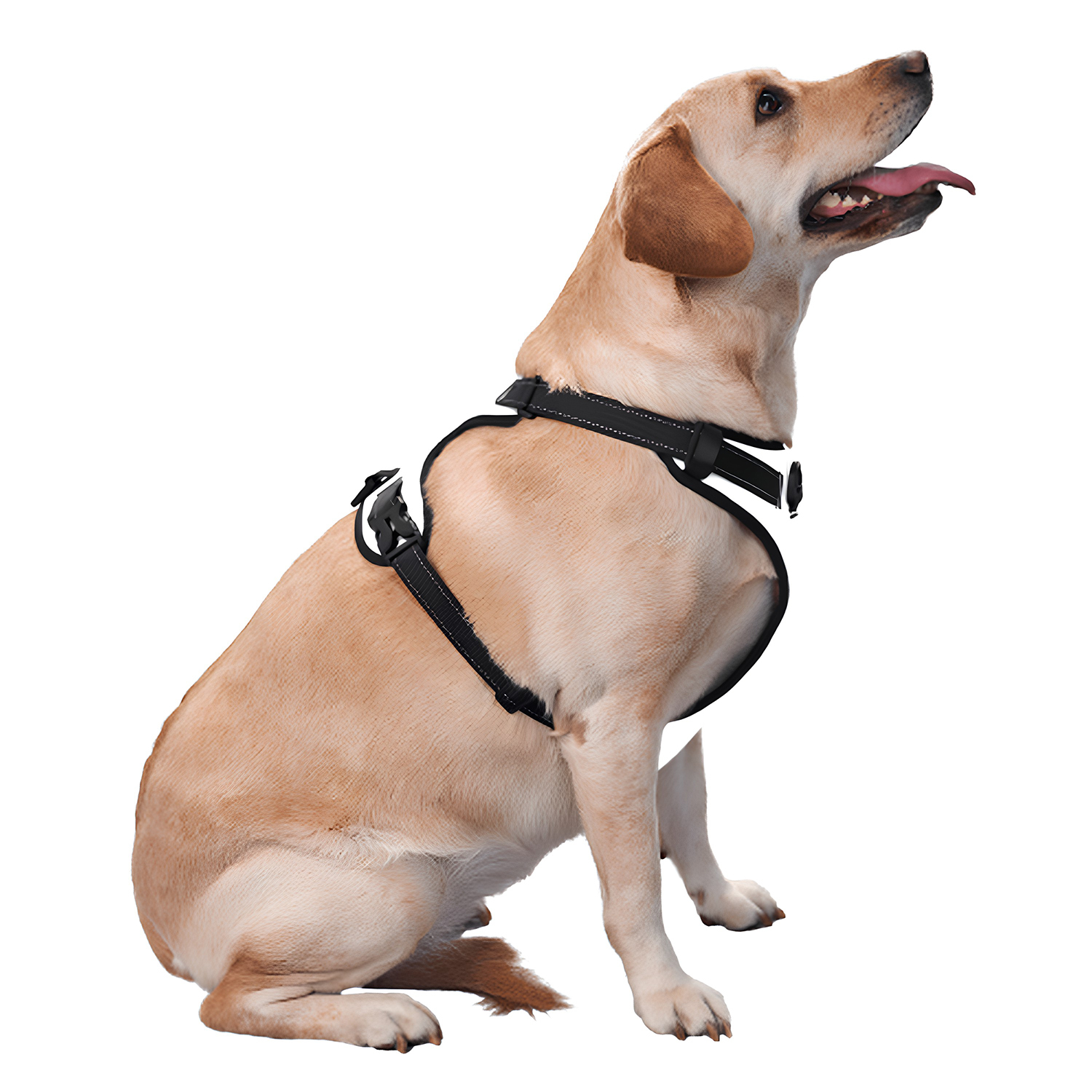 Custom Pet Dog Harness With Leash | HugePOD - Wholesale-5